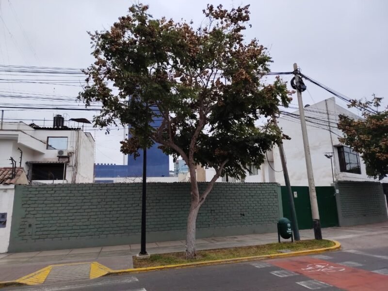 Terreno en Calle Castañitas en San Isidro | Venta