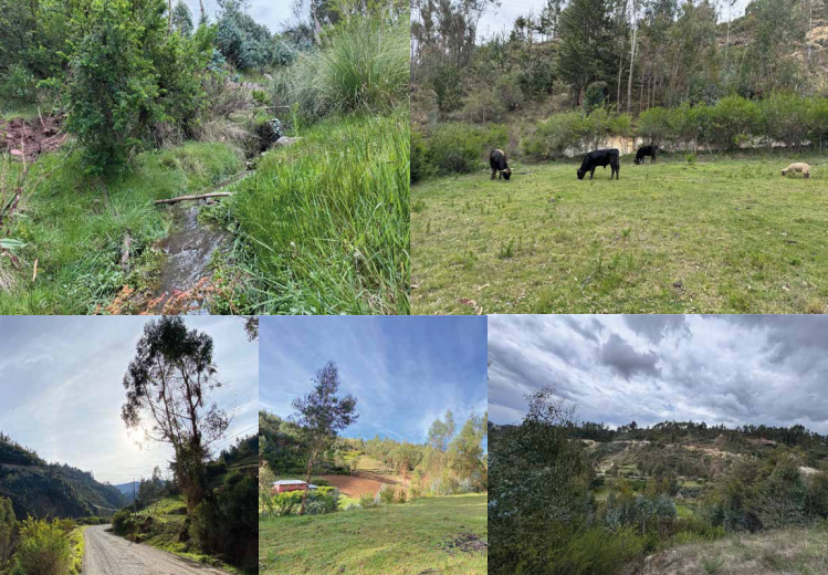 Terrenos en Cusco