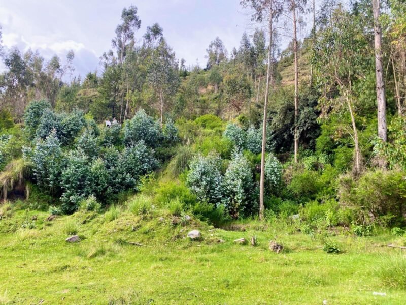 Terrenos en Cusco