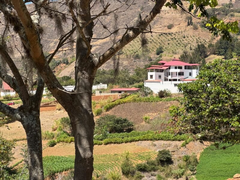 Terreno en Churubamba en Huánuco | Venta