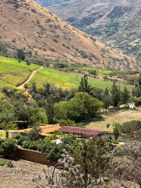 Terreno en Churubamba en Huánuco | Venta